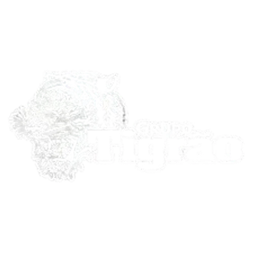 Grupo Trigrão